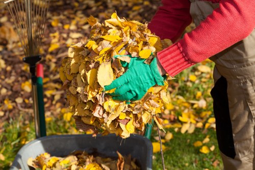 Eco-friendly garage clearance practices